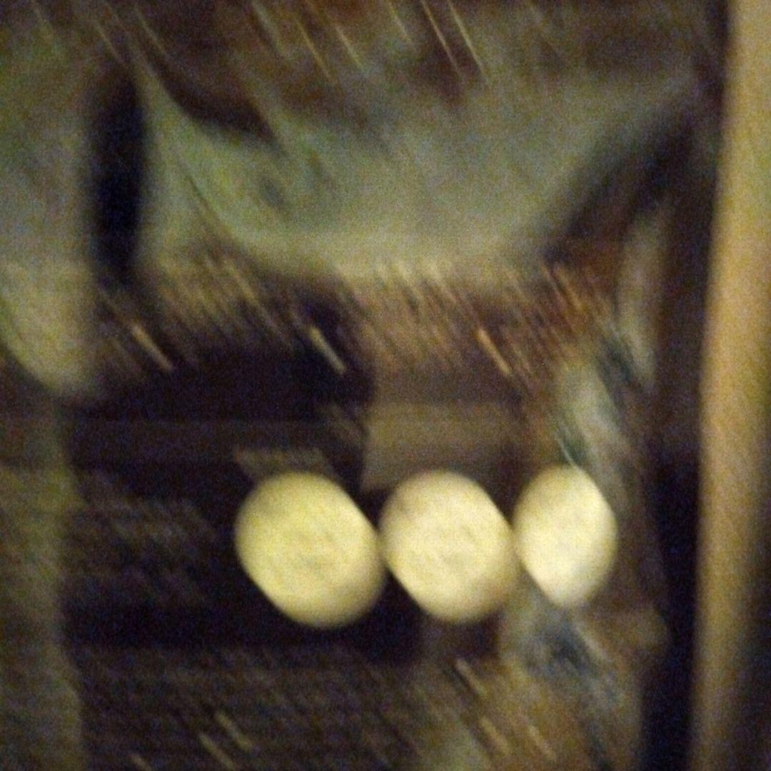 KURO ダークブラウン カラーシャンプー 400g 2パック