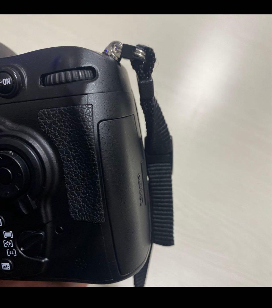 Nikon D300S&AF-S ニコン　一眼レフ