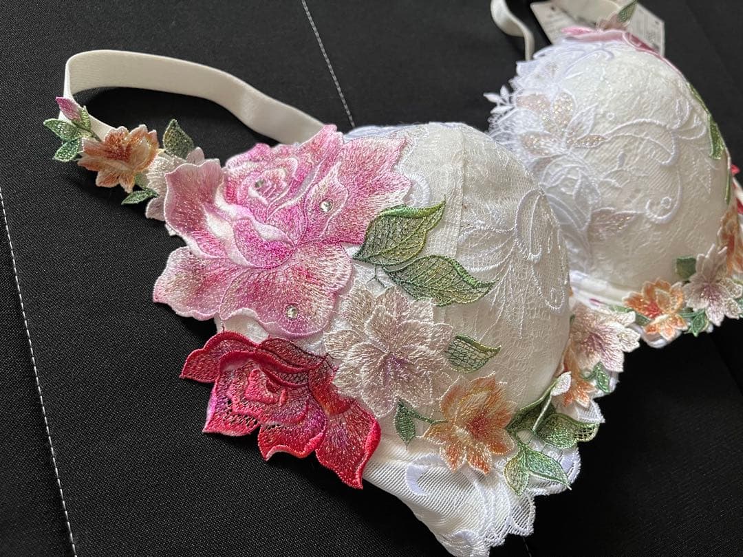 ワコール Salute インドの花嫁 09group G65 限定発売