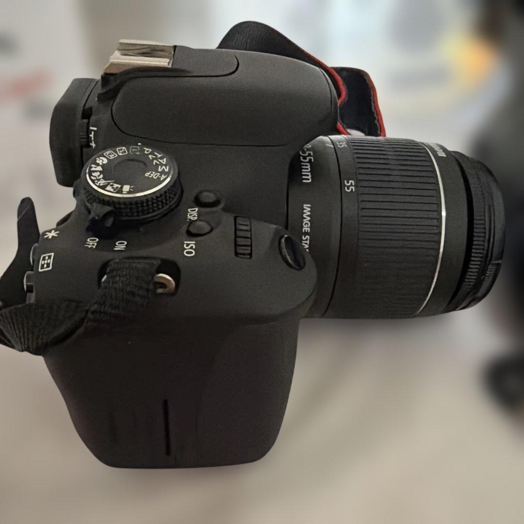 キャノン EOS KissX5 ダブルズームキット 週末限定価格