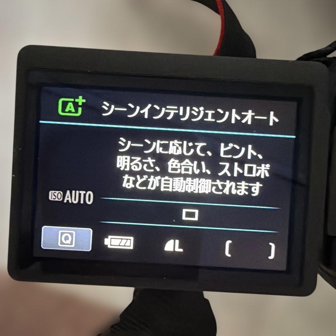 キャノン EOS KissX5 ダブルズームキット 週末限定価格