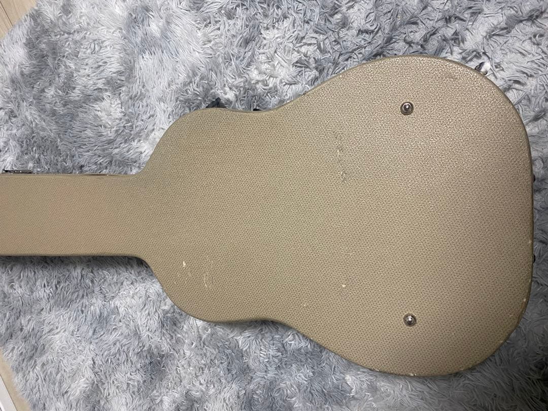 Cole Clark Fat Lady FL1 EC BB ハードケース付き