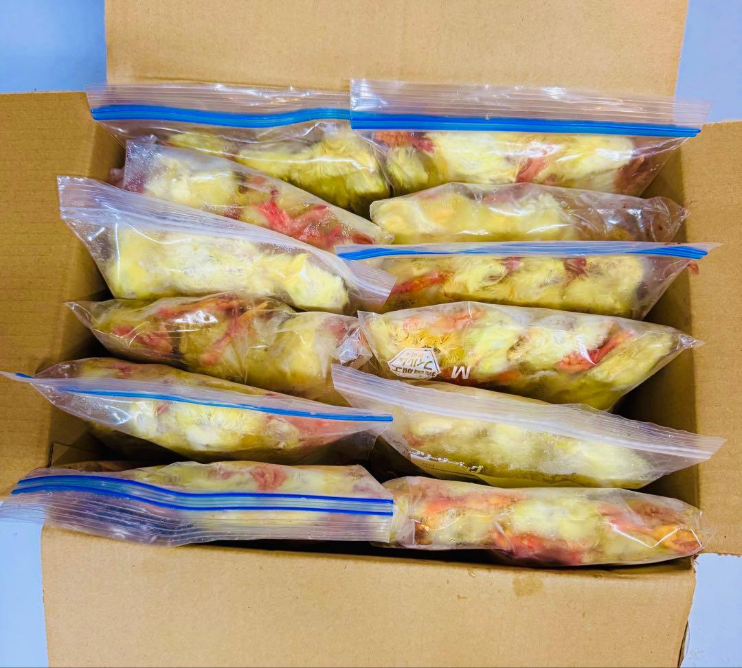 リピート購入、複数購入で＋10羽 送料無料 国産 新鮮安全 冷凍ひよこ 400羽