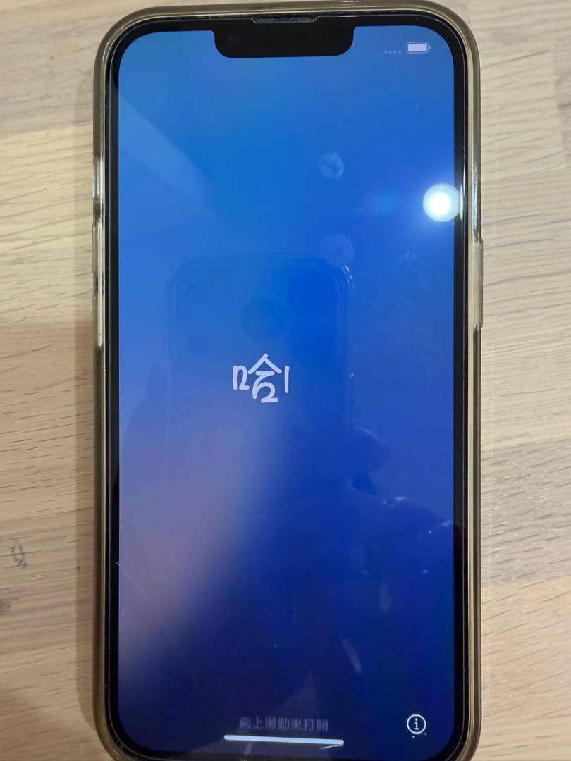 Apple iPhone13Pro 本体 ケーブル、MagSafeケース付き