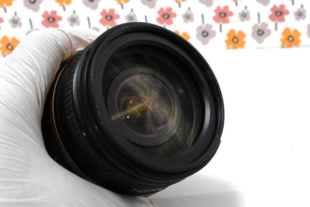 【返品保証】ニコンFマウント❤18-250mm ❤️高倍率望遠レンズ❤️タムロン