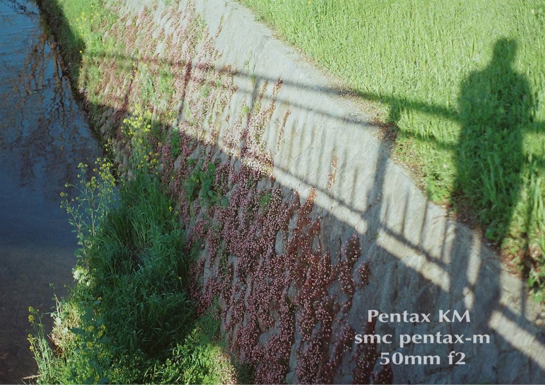 ★完動品＊美品★PENTAX KM／SMC 50mm f2★フィルム入門に！