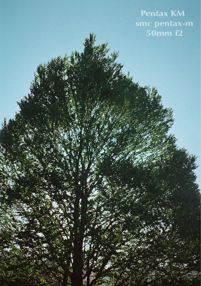 ★完動品＊美品★PENTAX KM／SMC 50mm f2★フィルム入門に！