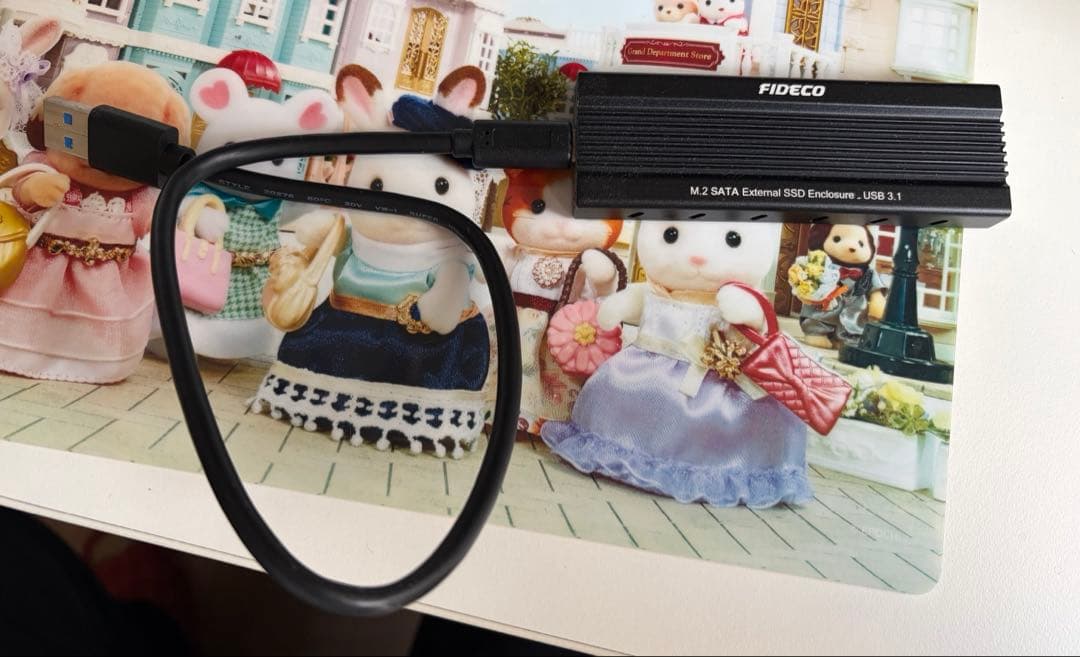 FIDECO M.2 SATA SSD ケース 外付け 100GBメモリ付き