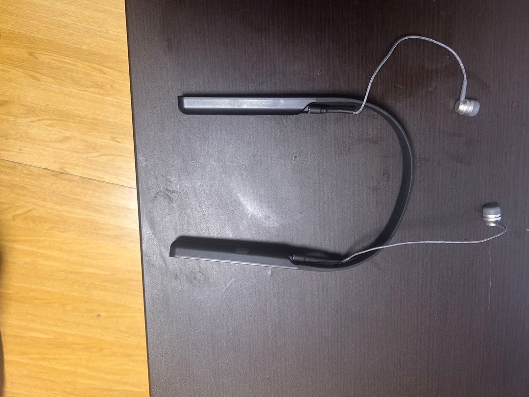 骨伝導集音器ネズ3