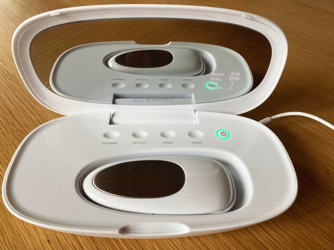 Moisteane IV 美顔器 (モイスティーヌ) お値下げ可