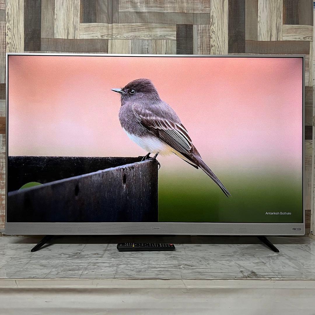 マサマサ さん専用Qriom55V型4K液晶テレビ高音質ONKYOスピーカー外付