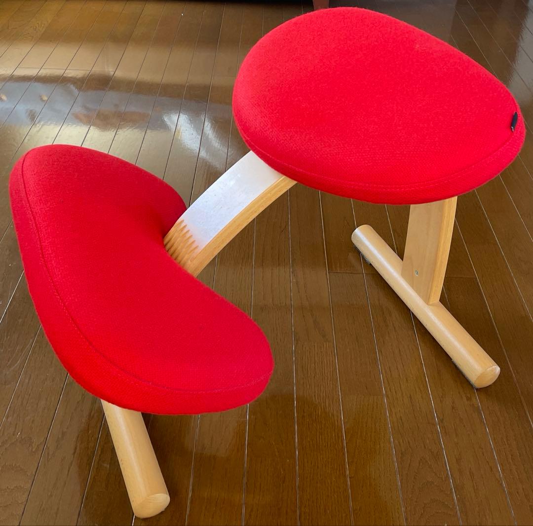 バランスチェア•イージー　専用カバー　ノルウェー•リボ社　取説あり