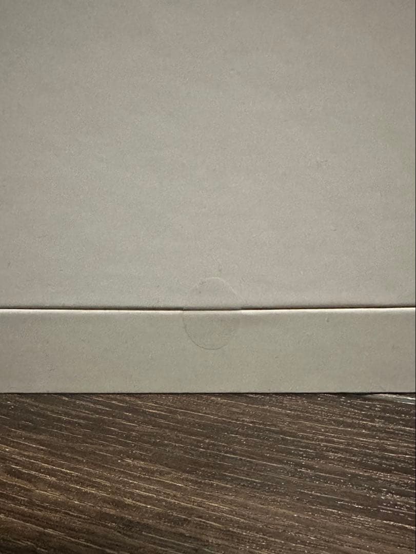 【新品未開封】SALONIA ピュア ブライト スチーマー