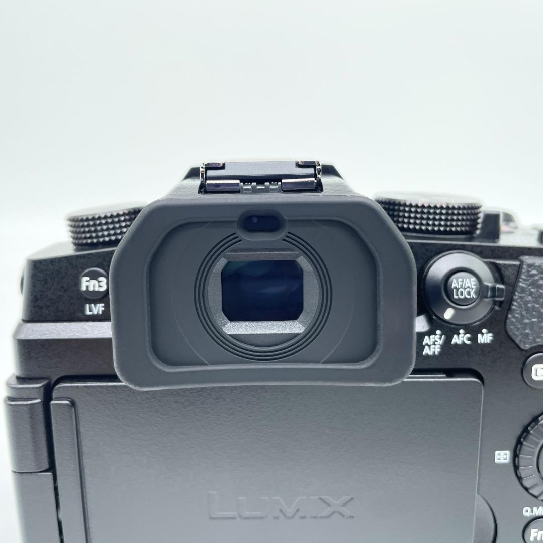 即配【美品】Panasonic LUMIX DC-G99M2 カメラ 送料無料