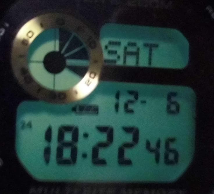 カシオ フロッグマン GW-225A-1JF ドーンブラック 25周年記念