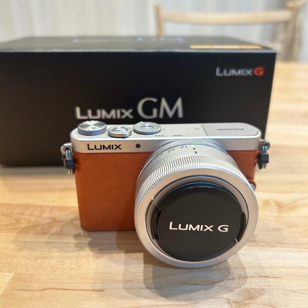 【最終値下げ】Panasonic LUMIX GM1K シルバー/ブラウン