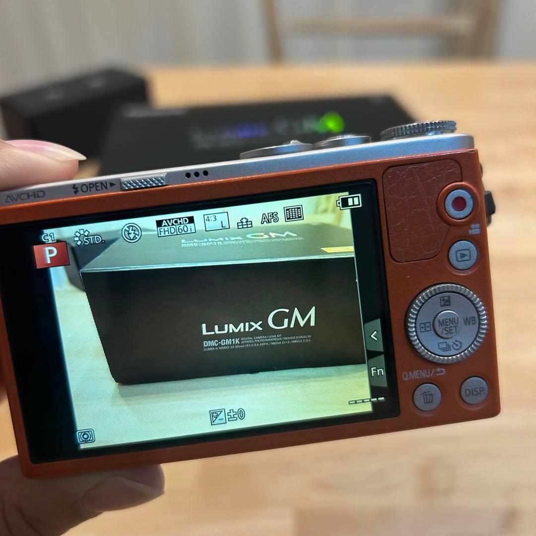 【最終値下げ】Panasonic LUMIX GM1K シルバー/ブラウン