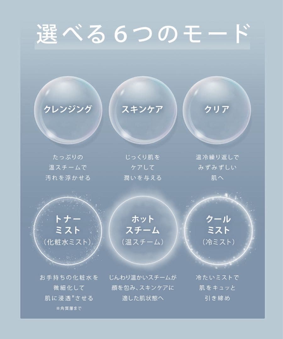 【新品、未使用】SALONIA ピュアブライトスチーマ　グレー