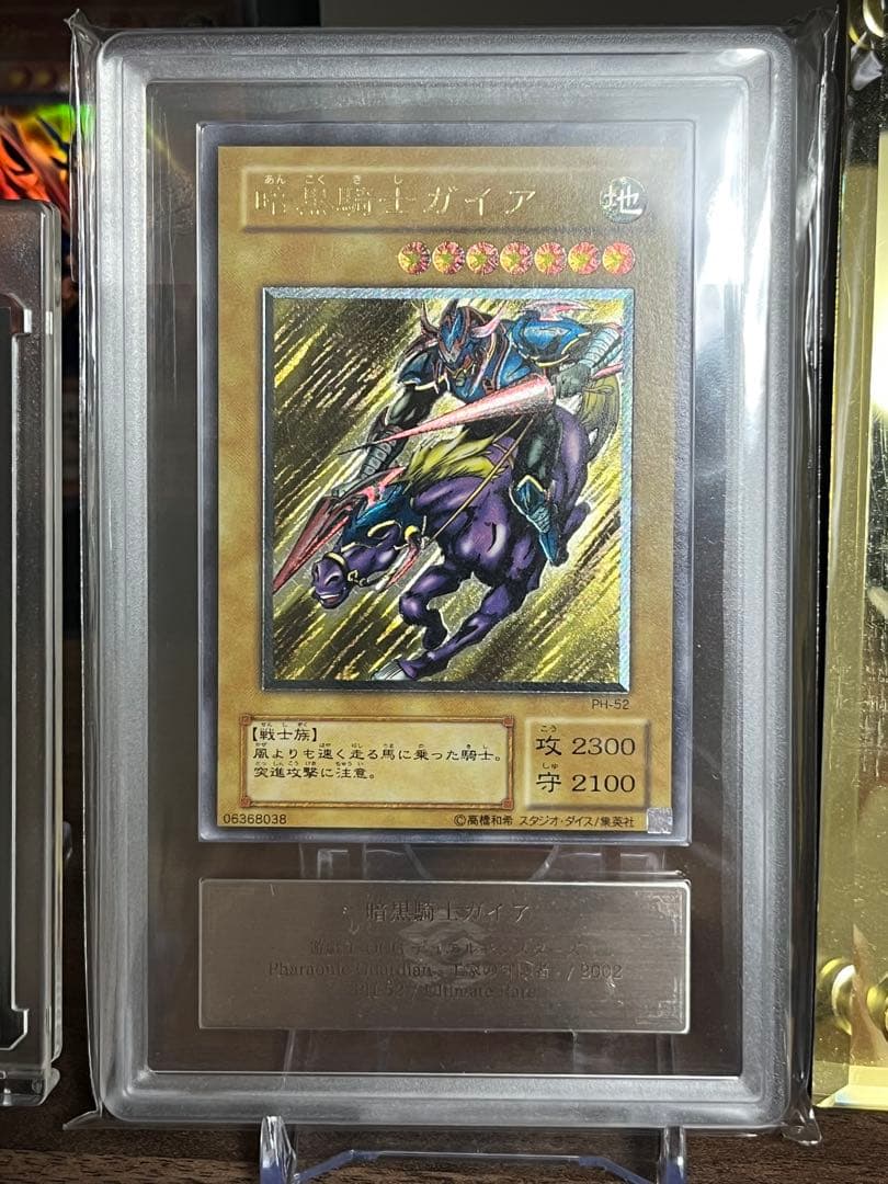 暗黒騎士ガイア レリーフ　ARS グレード9