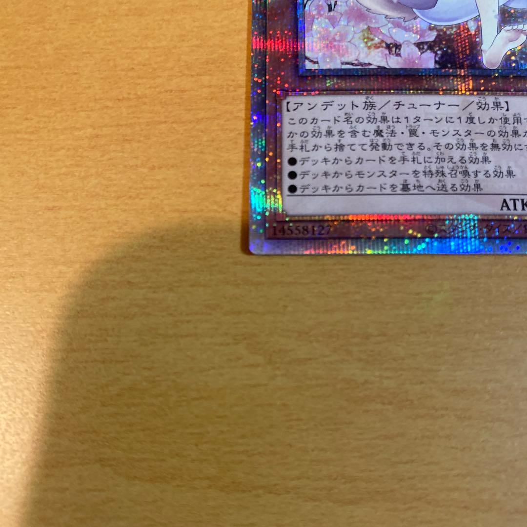 遊戯王　灰流うらら　25thシークレットレア　絵違い