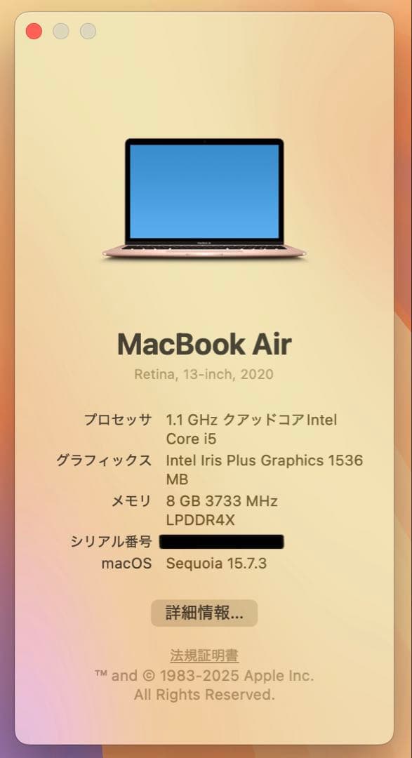 【即日発送】Macbook air 2020 ローズゴールド