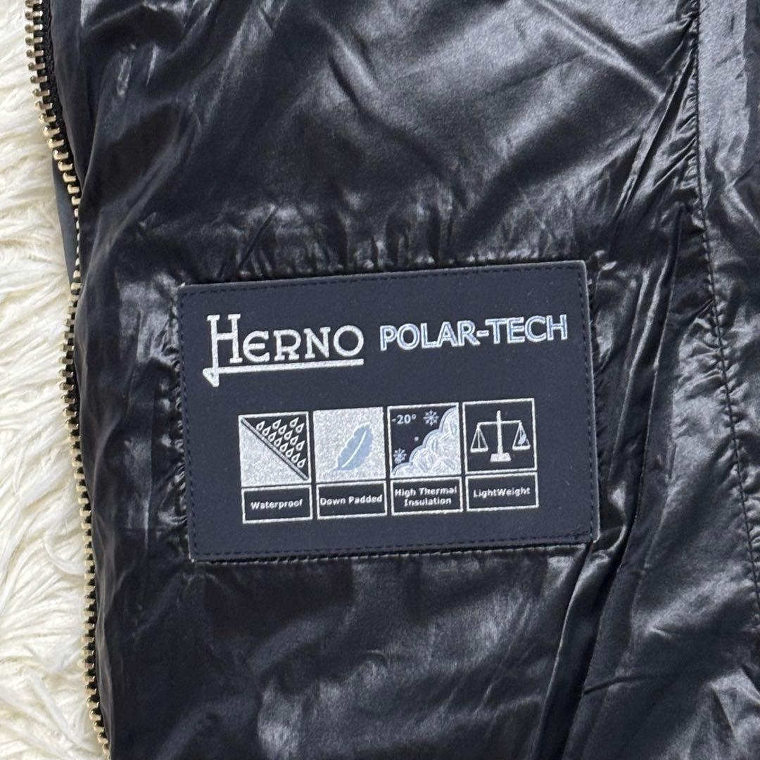 ✨️極美品 ヘルノ ロング丈 ダウンコート ポーラテック 44 XL 2WAY