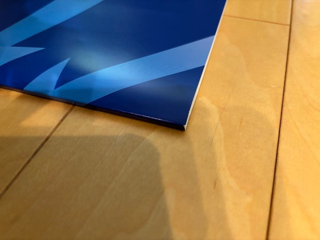 プラチナインプット2025/2026 最新版