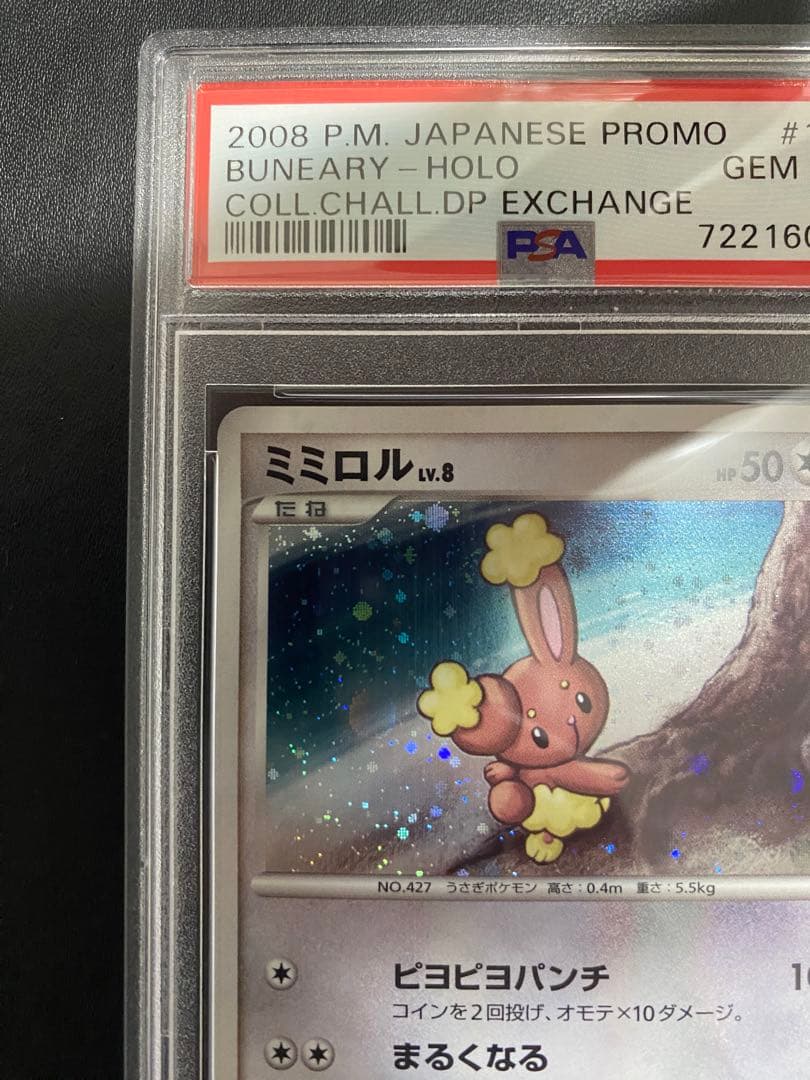 ミミロル プロモ psa10 DP-P ポケモンカード