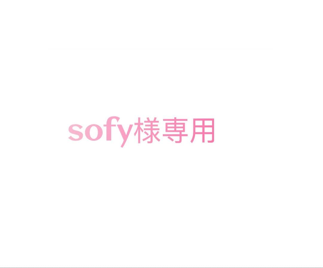 語学・辞書・学習参考書 sofy