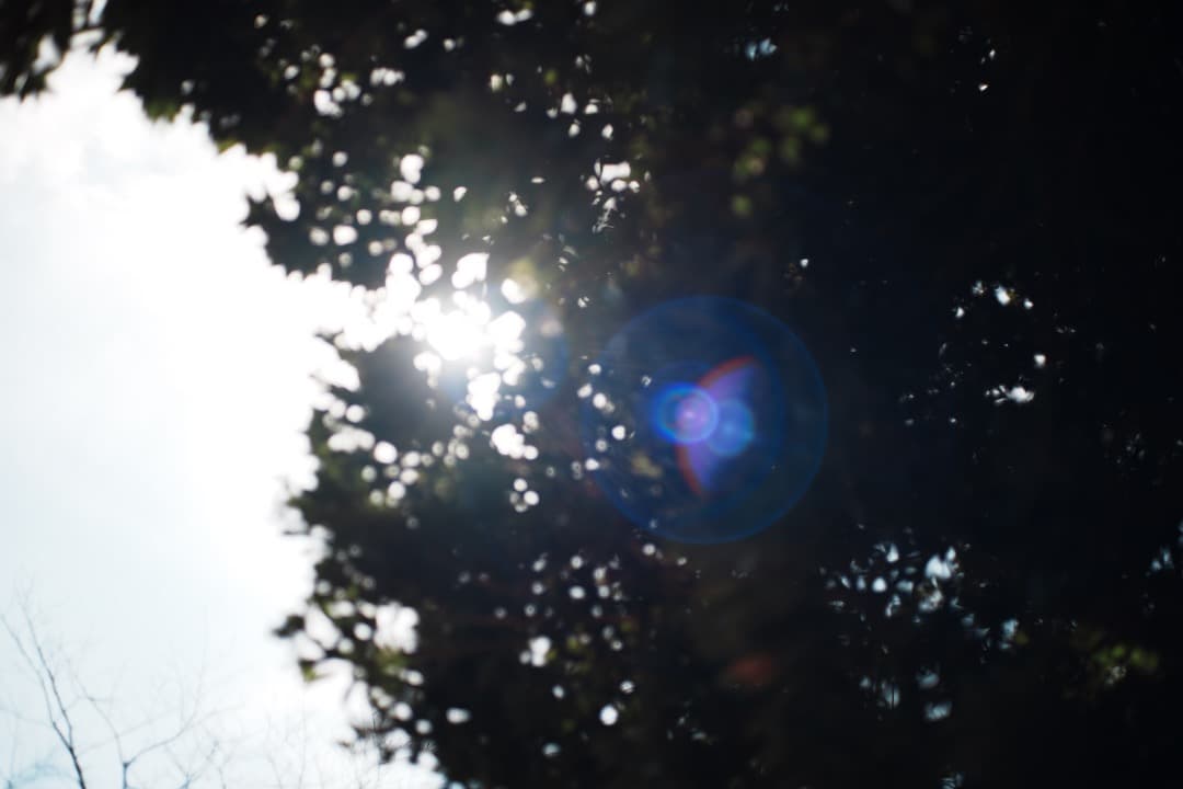 【美品】動作◎ ミノルタ MD ROKKOR 45mm F2 348