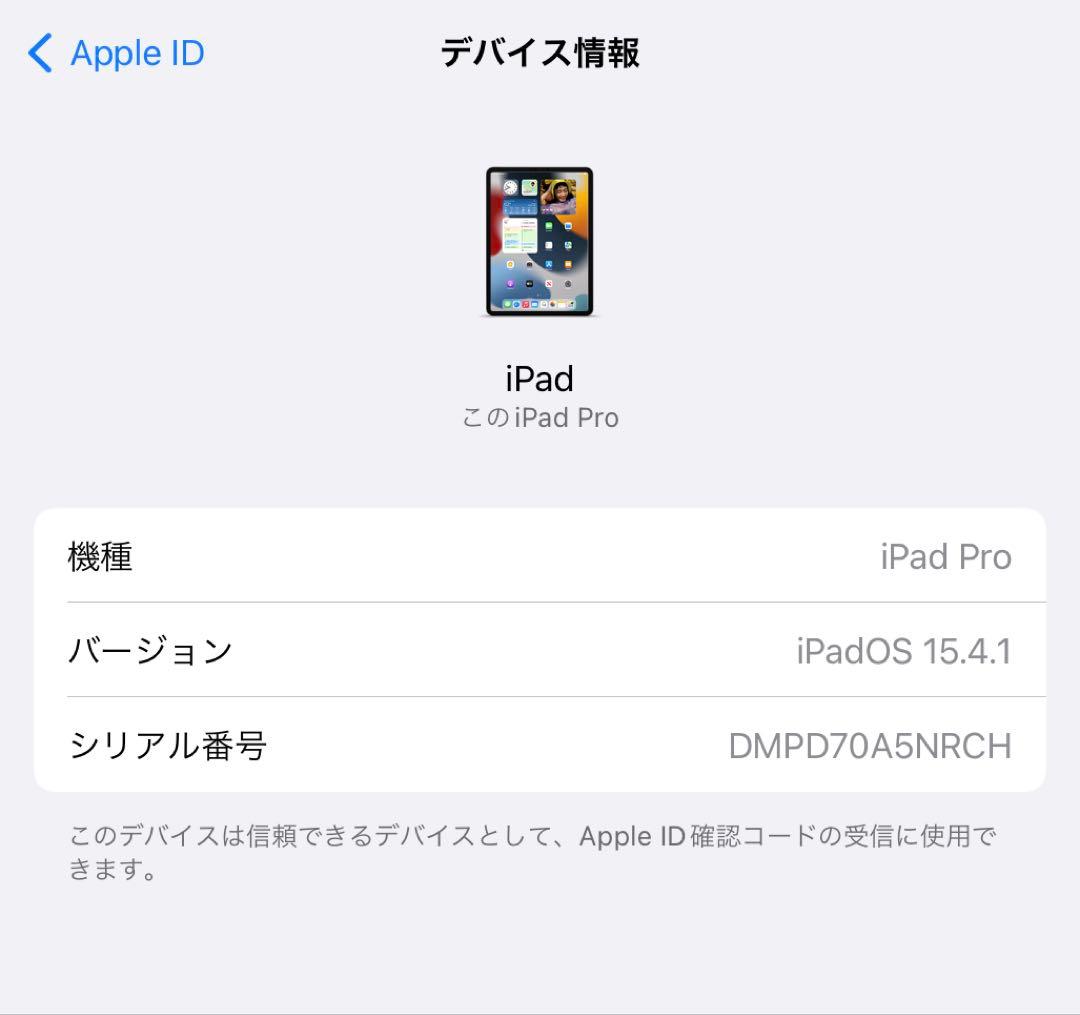 iPad Pro 第2世代 シルバー 本体　1TB