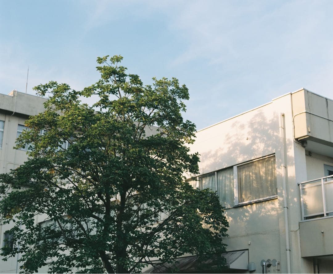 PENTAX 67 TTL 105mm f2.4 フィルム付き