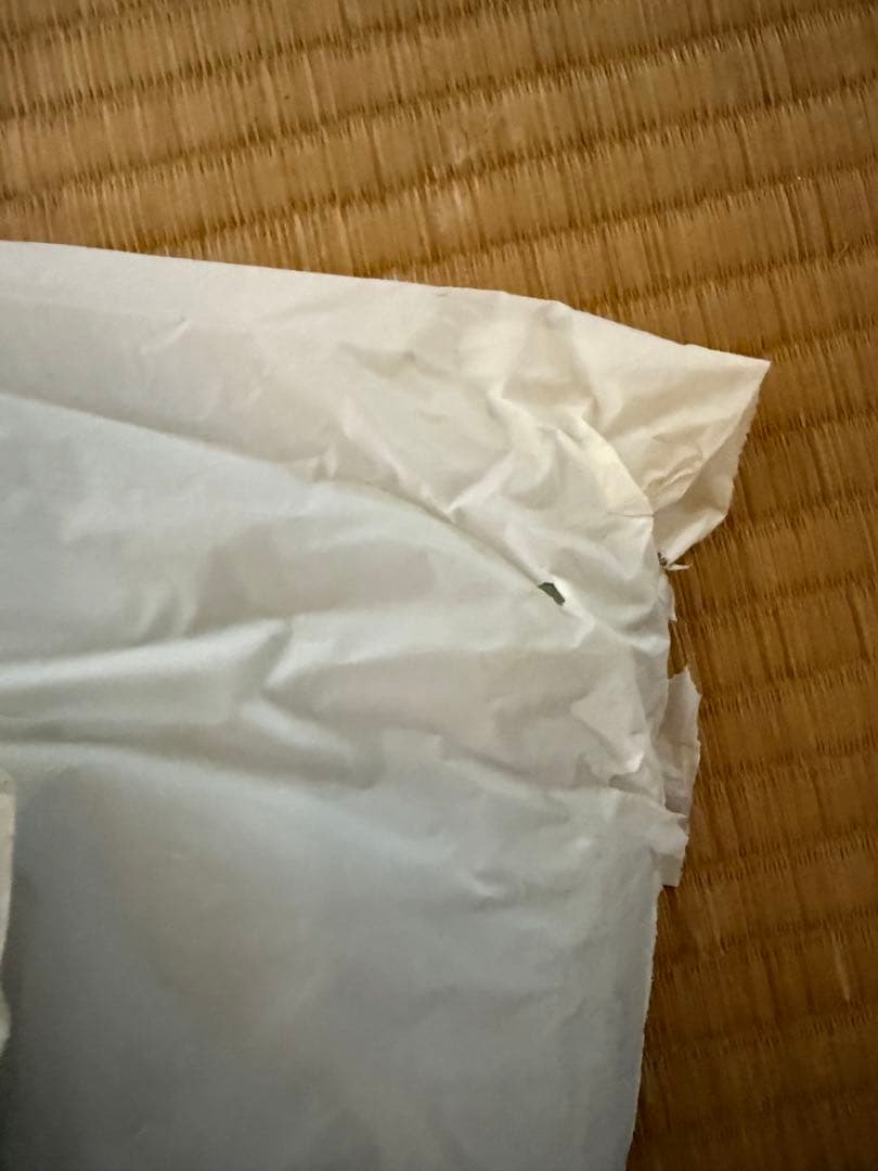 ENNOY エンノイ ナイロン セットアップ Lサイズ　Sage シャカシャカ