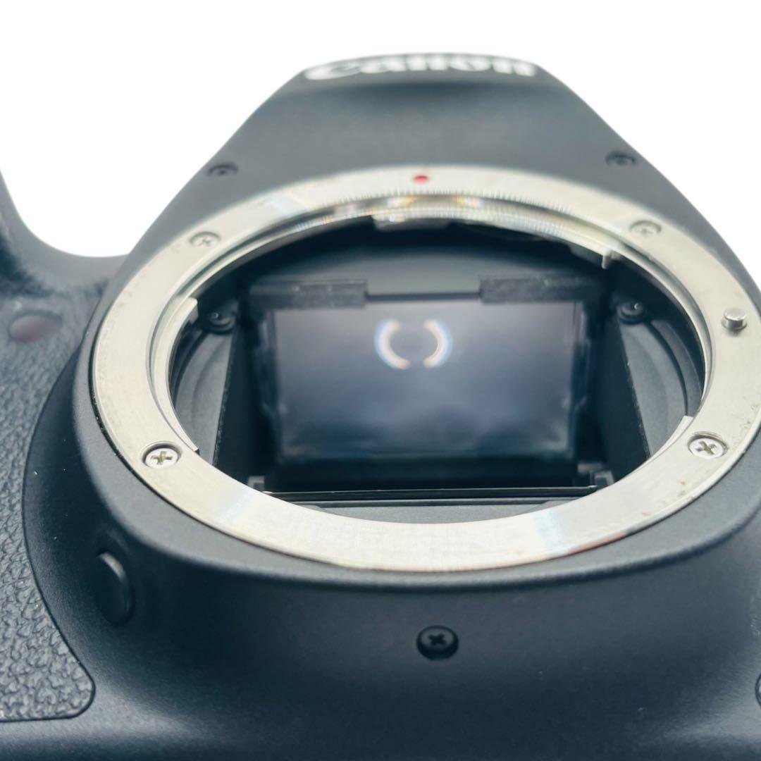 Canon EOS 6D Mark II レンズ2本セット