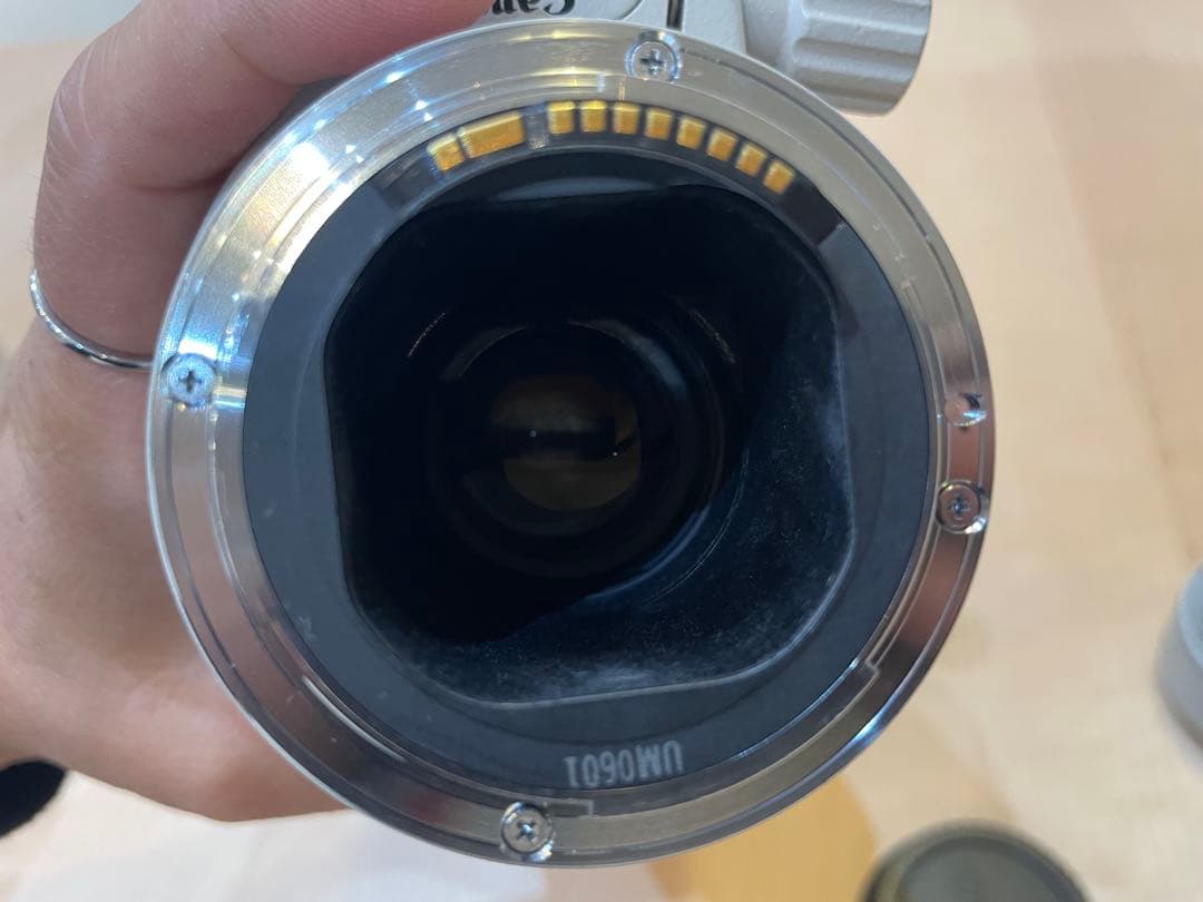 Canon キヤノン EF300mm F4L IS USM エクステンダーセット