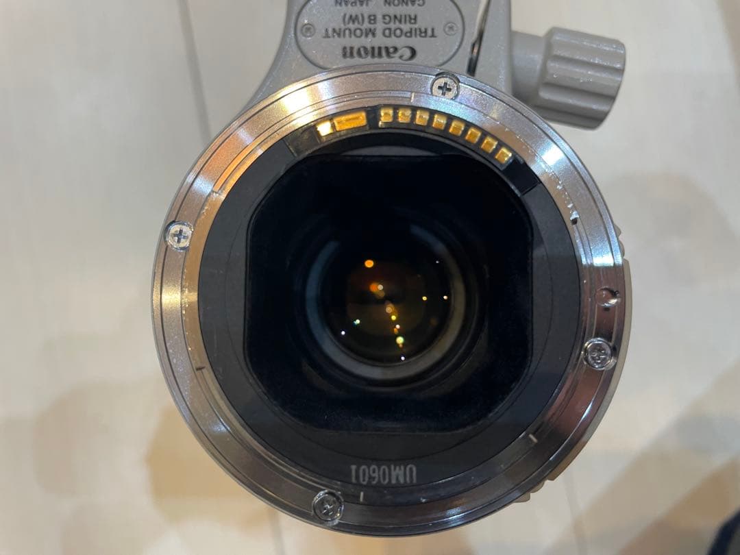 Canon キヤノン EF300mm F4L IS USM エクステンダーセット