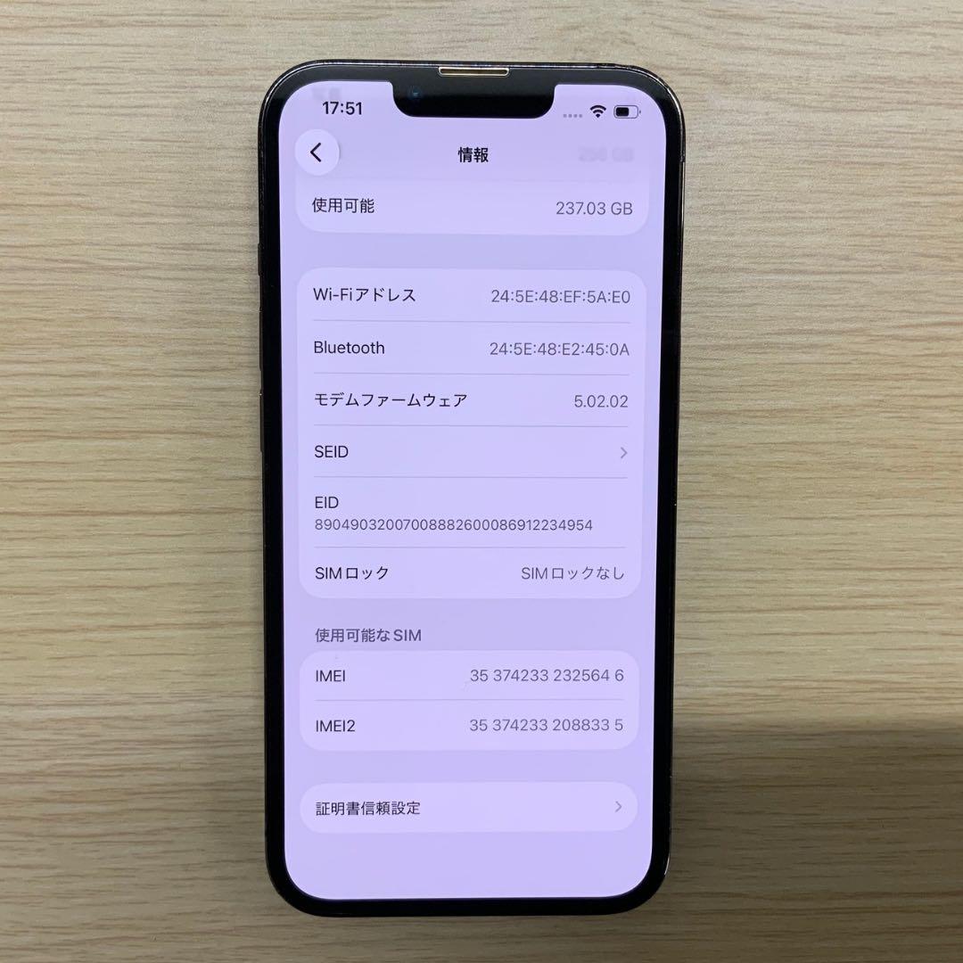 【美品】iPhone 13Pro 256GB グラファイト