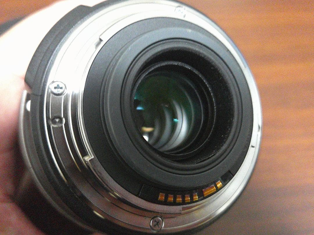 Canon EF-S 18-200mm IS レンズ