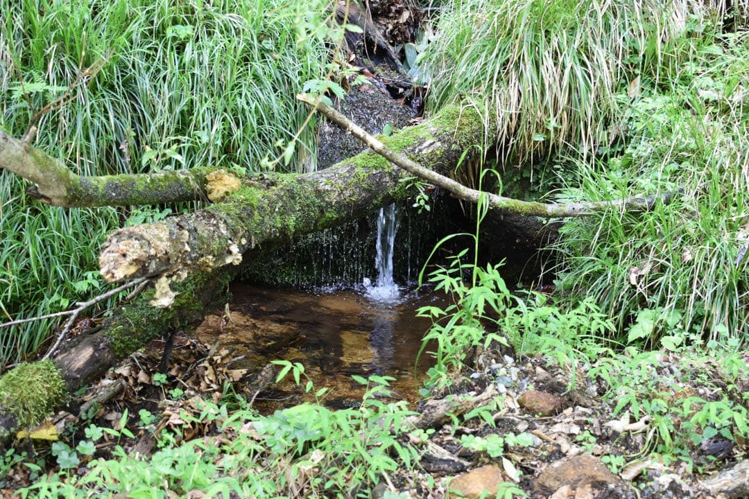 Nikon D5600 デジタル一眼レフカメラ 18-55mm VRキット