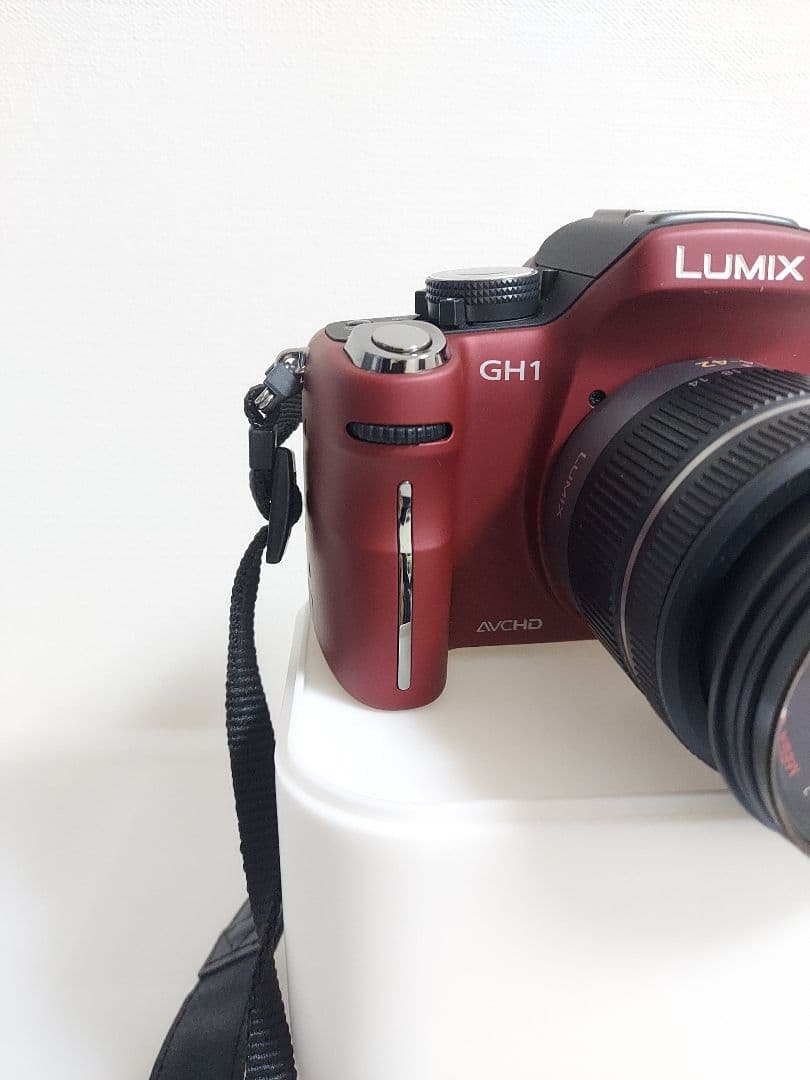 極美品　Panasonic LUMIX DMC-GH1 動作確認済み