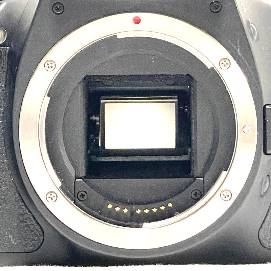 家族の思い出が輝く✨ Canon Kiss X5 超望遠 Wレンズセット