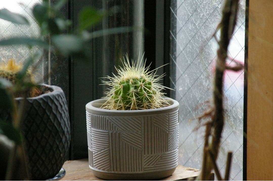 【完動品】TAMRON AF 28-300mm f/3.5-6.3 Macro