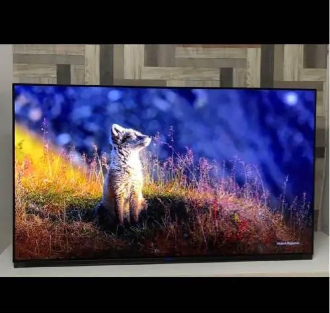 FUNAI4k有機EL65型HDD内蔵ネット動画可