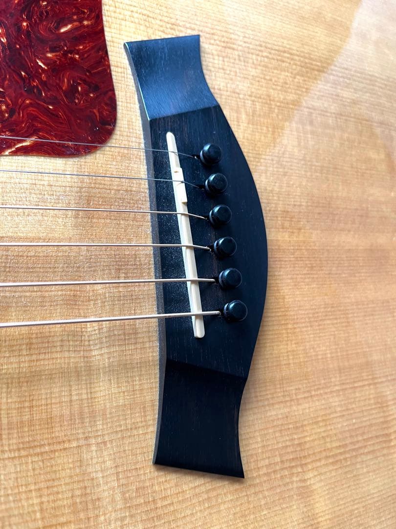 Taylor テイラー 314ce ES1
