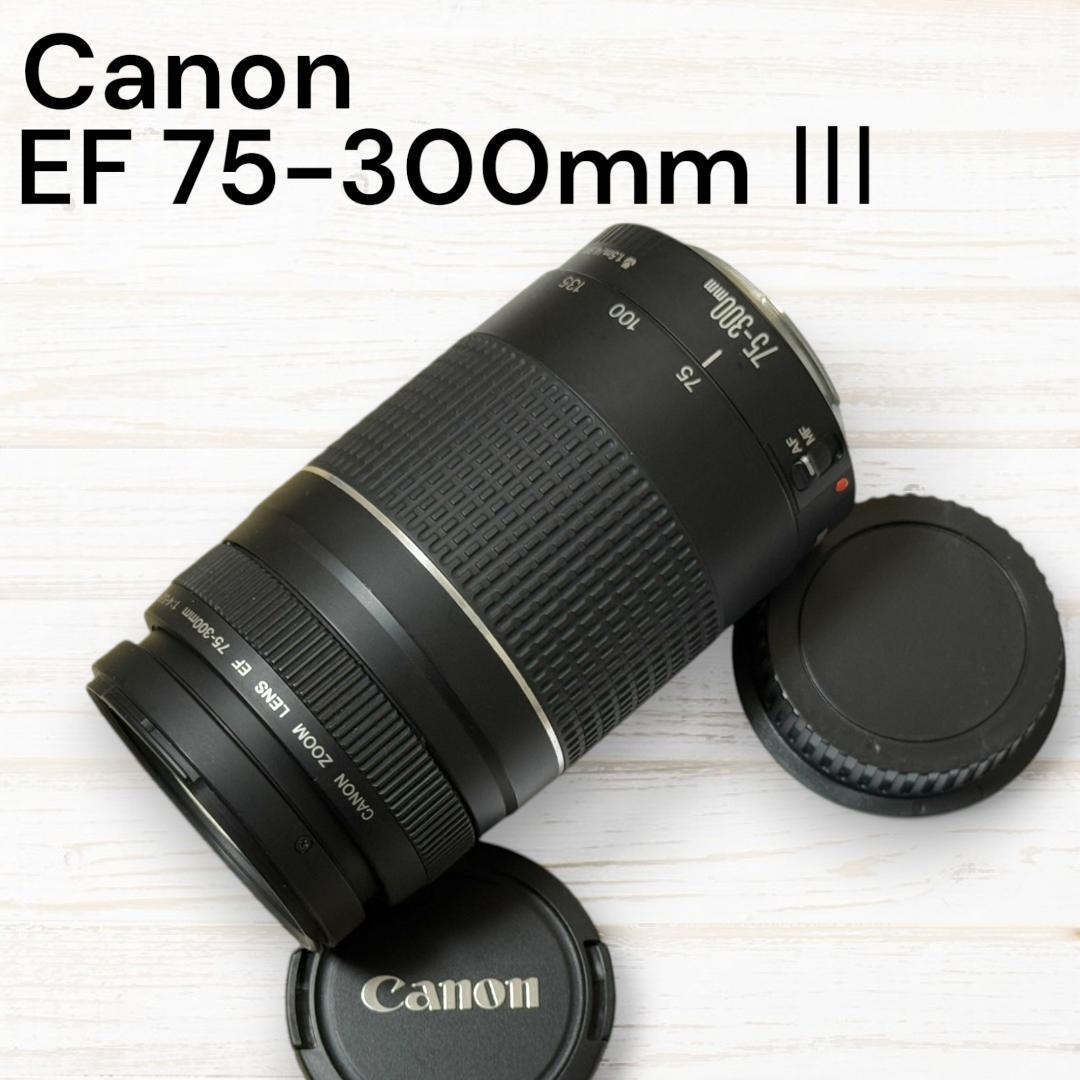⭐美品⭐ Canon 望遠レンズ EF 75-300mm F4-5.6 Ⅲ