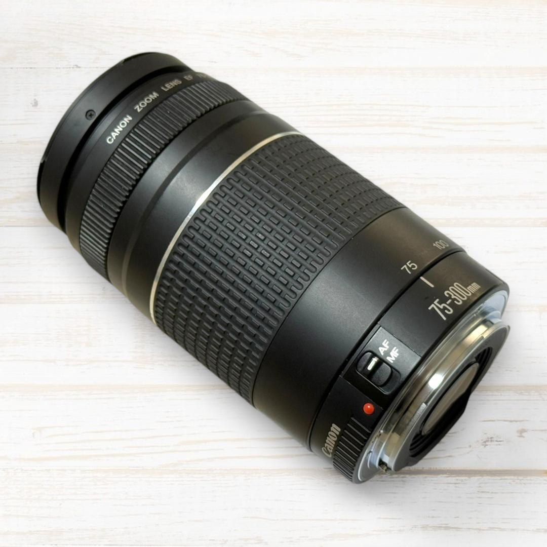 ⭐美品⭐ Canon 望遠レンズ EF 75-300mm F4-5.6 Ⅲ