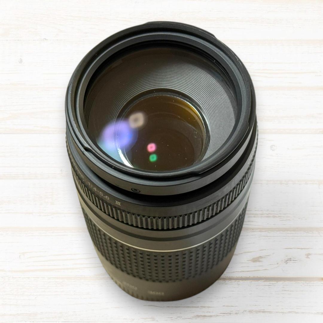 ⭐美品⭐ Canon 望遠レンズ EF 75-300mm F4-5.6 Ⅲ