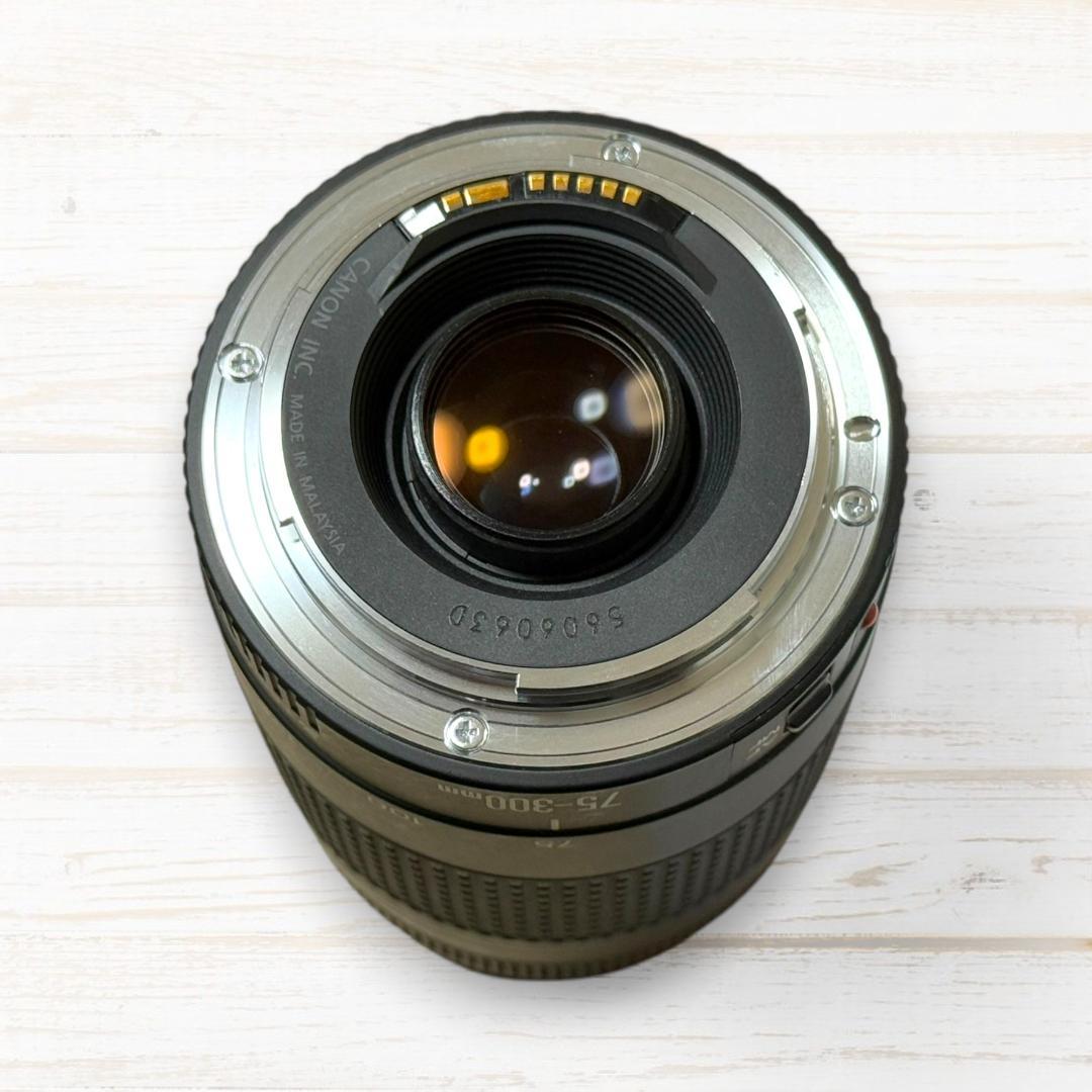⭐美品⭐ Canon 望遠レンズ EF 75-300mm F4-5.6 Ⅲ