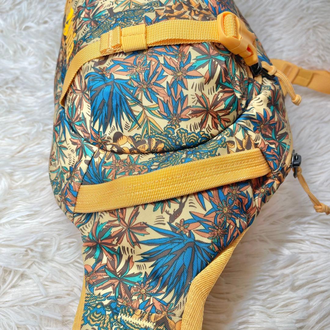 【廃盤カラー】パタゴニア　ボディバッグ　ショルダーバッグ　アトムスリング y2k