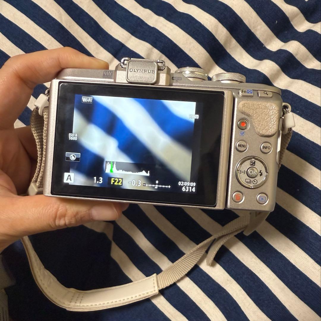 ミラーレス一眼OLYMPUS PEN E-PL8 単焦点/ズーム